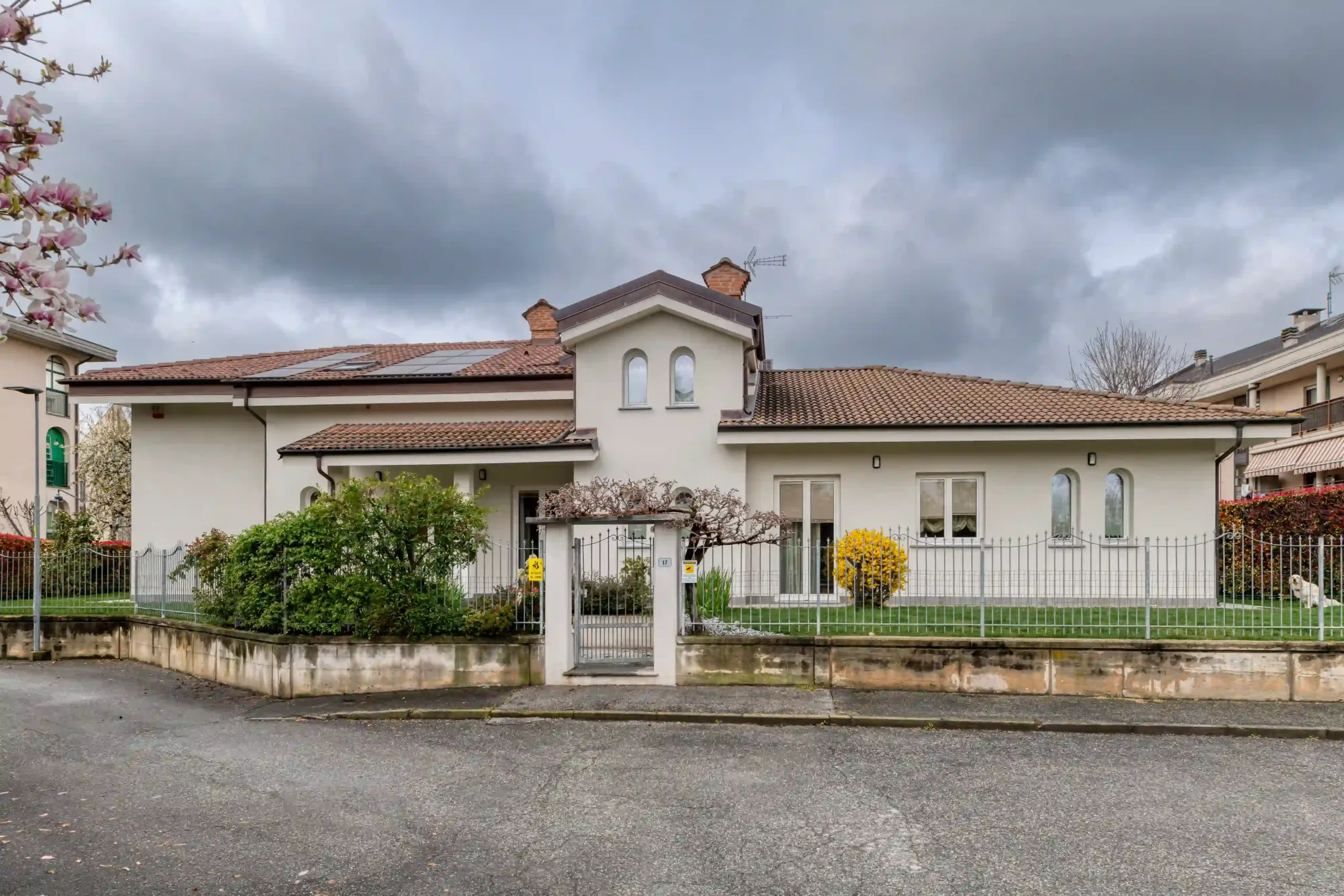 villa singola con facciata bianca, tetto in tegole con pannelli solari, giardino con cespuglio giallo, recinzione metallica e cancello con ramo fiorito in primo piano